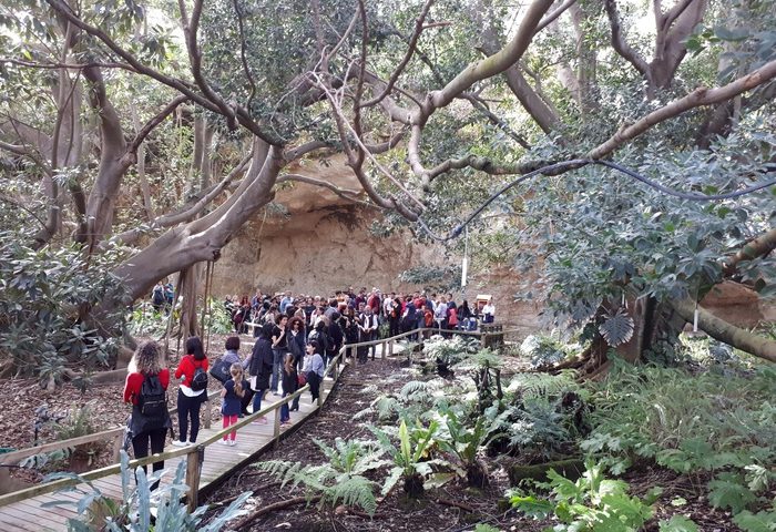 Orto Botanico di Cagliari