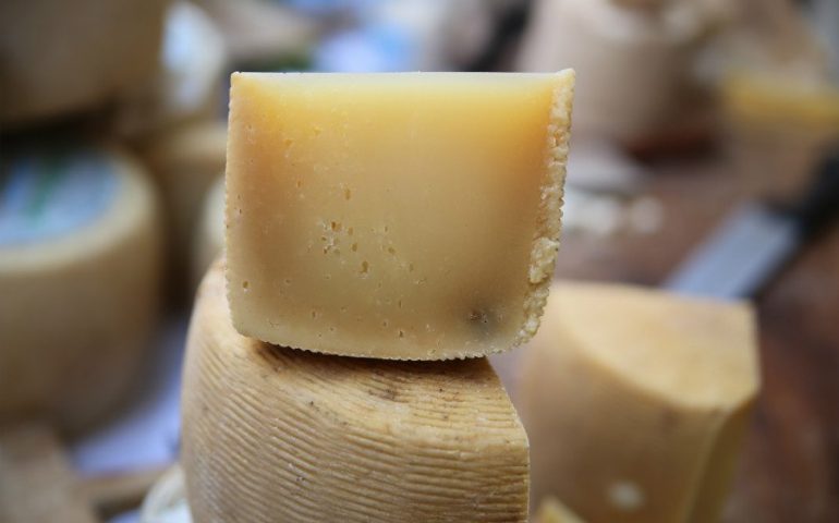 La proposta degli antimilitaristi: formaggio al posto delle bombe