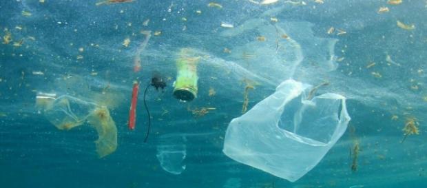 Il mare della Sardegna è pieno di plastica: 2 chili ogni chilometro quadro