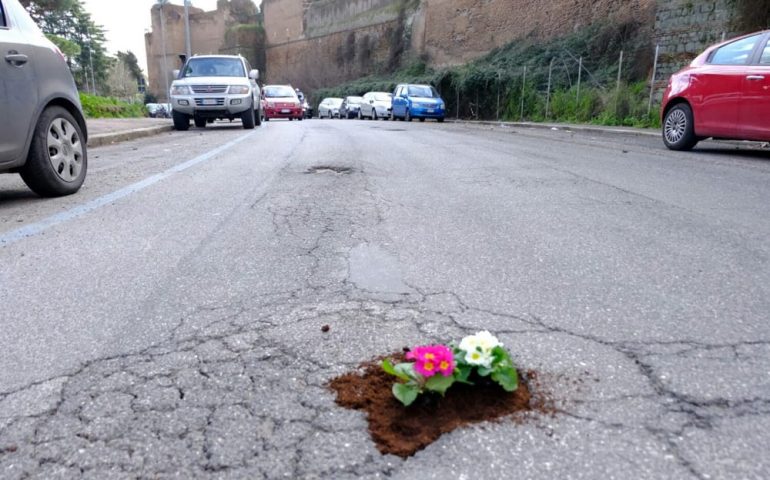 Milano, fiori nelle buche stradali: la provocazione di una consigliera comunale che non è piaciuta alla Polizia municipale