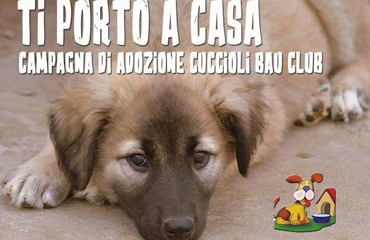 Incentivi adozioni cuccioli alla Bau Club e Tana di Bau: ecco la nuova campagna