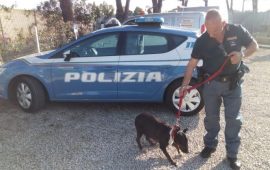 cane chiuso in macchina via donizetti