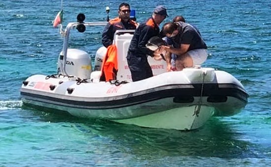 Is Arutas, cucciolo di delfino in difficoltà salvato dalla Guardia costiera