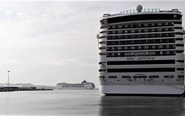 msc divina 2