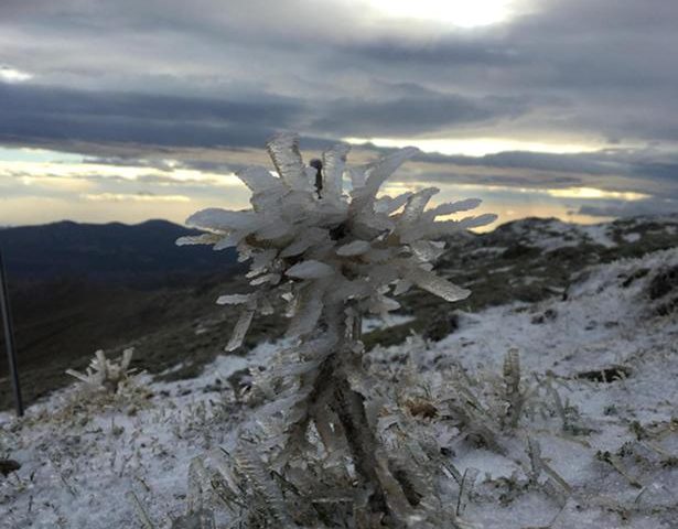 Le correnti fredde del Nord Europa riportano gelo e neve in Sardegna: fiocchi a Fonni e Desulo