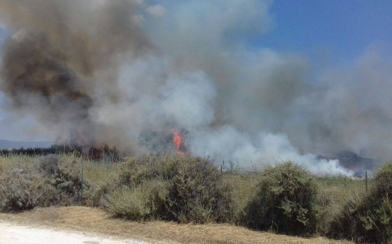 Grosso incendio nel Parco di Molentargius - Foto di NOS Protezione Civile Quartu Sant'Elena