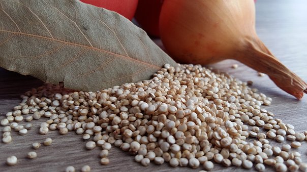 Quinoa coltivata in Sardegna: la scommessa senza glutine di 12 imprese isolane