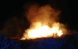 incendio molentargius quartu fb