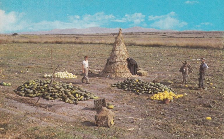 La Sardegna che non c’è più: venditori di meloni con l’asinello sulla Carlo Felice nel 1967