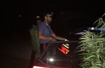 Carabinieri Marijuana Villacidro