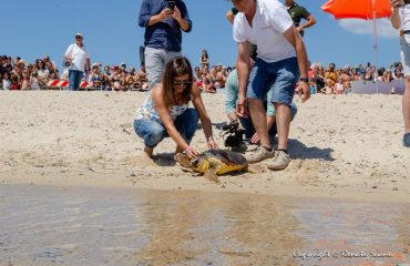 Le tartarughe Pinna e Jules liberate dalla sindaca Carla Medau - FOTO DI RENATO SCANO