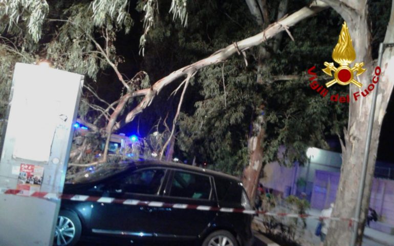 Marina Piccola. Grosso ramo di un albero sulle auto in sosta. Nessun ferito
