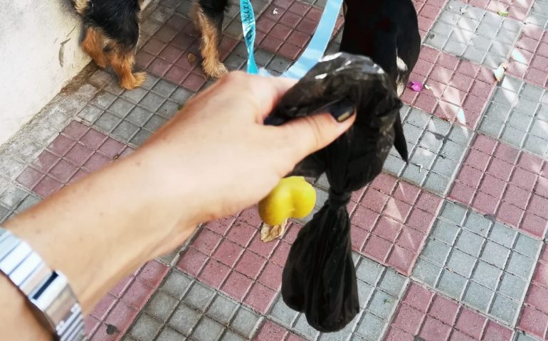 “Si porti la cacca dei cani a casa”. Ecco la surreale risposta dal numero verde per la raccolta differenziata