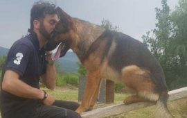 cane amatrice avvelenato kaos