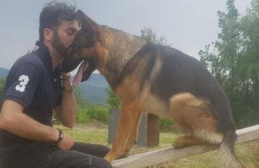 cane amatrice avvelenato kaos