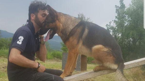 cane amatrice avvelenato kaos