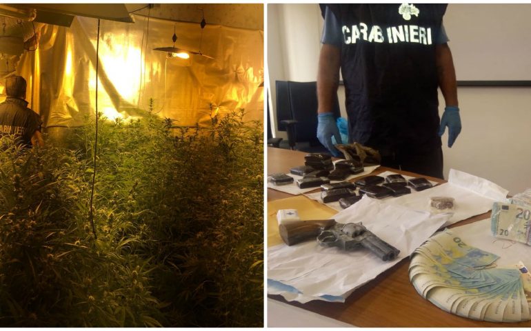 Elmas: 31enne aveva in casa una serra di cannabis, droga per 100mila euro e allaccio abusivo alla rete elettrica pubblica