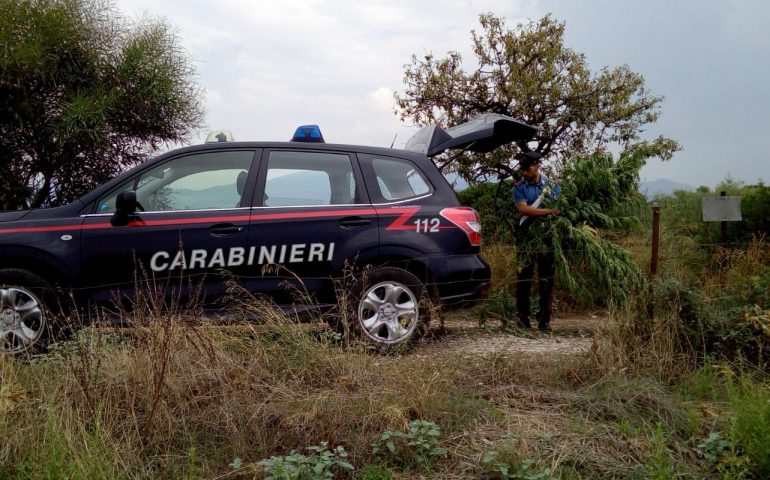 Quartucciu, serra artigianale e materiale per il confezionamento. Nei guai un 55enne del posto