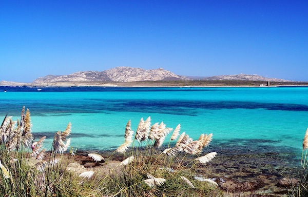 Asinara, denunciate 8 persone: navigavano in zona a tutela integrale