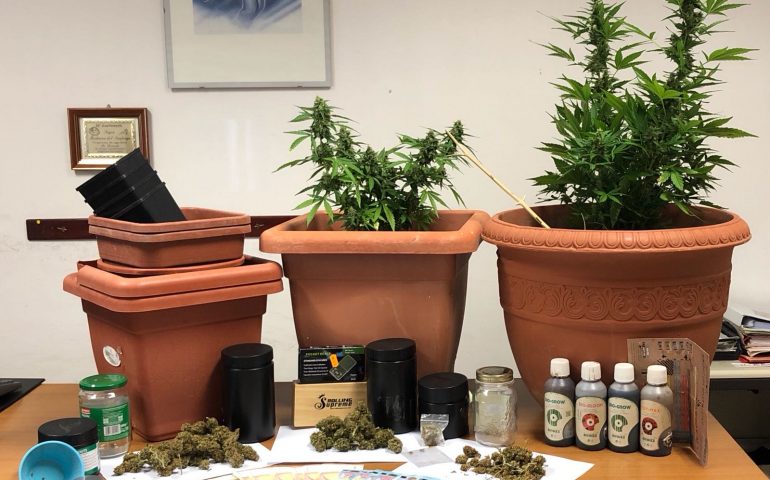 Villasimius: 27enne nei guai. Trovato in possesso di dosi di marijuana, piante e materiale per confezionamento