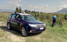 Piscinas caporalato lavoratori in nero carabinieri (2)