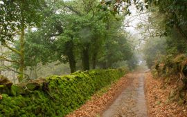 sardegna autunno