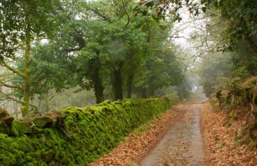 sardegna autunno