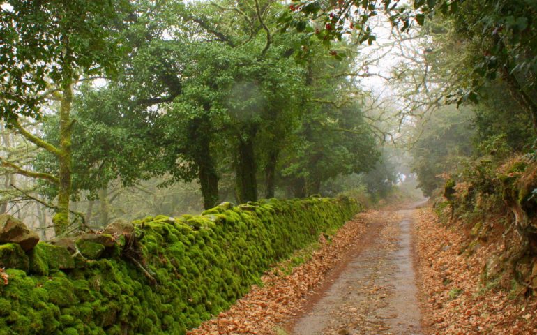 sardegna autunno