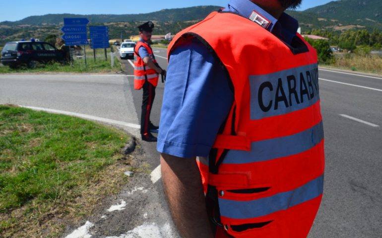 Cinghiali in strada: ancora un brutto incidente a Ottana