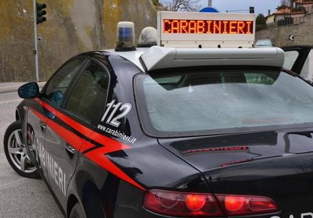 Tortolì. Entrano in un’azienda e rubano piante di marijuana legale