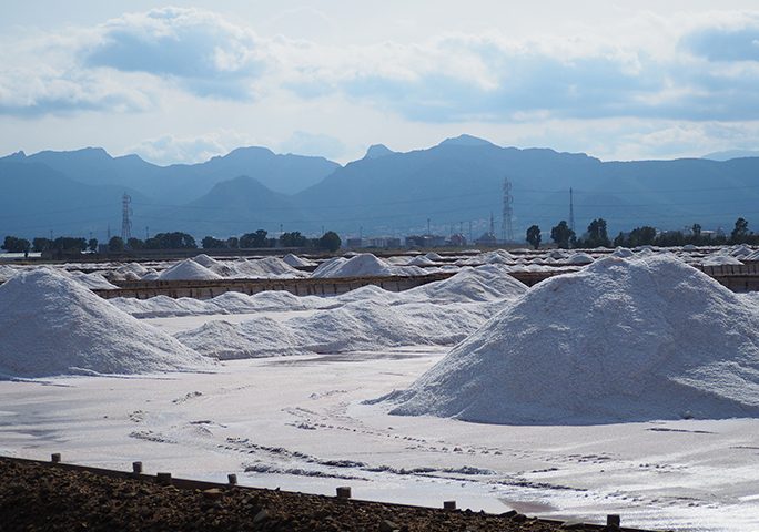 La foto. I mucchi di sale alle saline Conti Vecchi