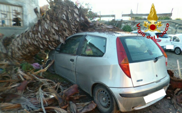 Cagliari: crolla una palma gigante e devasta un’auto