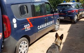 Cacciatori di Sardegna