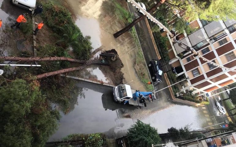 Strade allagate, alberi caduti: decine di chiamate a causa del maltempo in tutto l’Hinterland