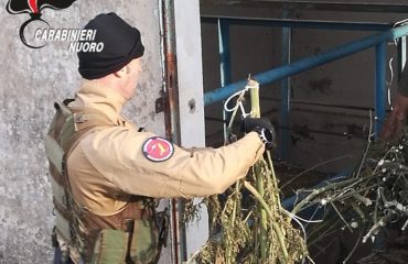 marijuana san lorenzo