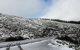 neve bruncu spina ottobre 2018.1