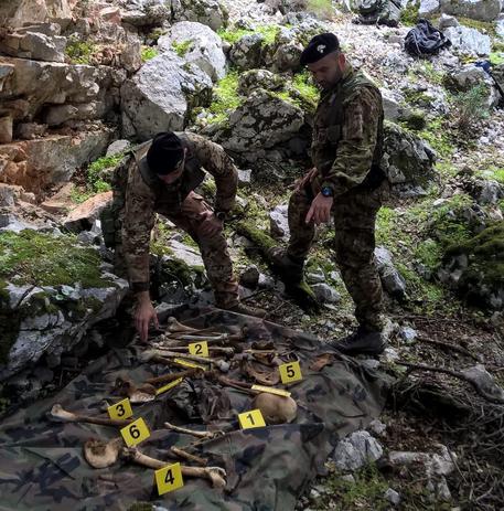 Macabra scoperta nel Supramonte: resti umani trovati in mezzo alla vegetazione
