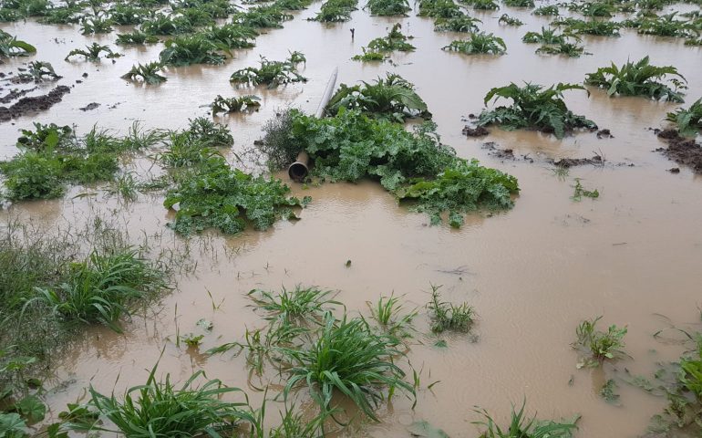 (FOTO) L’inchiesta: l’alluvione a Uta e l’agricoltura. Testimonianze e conta dei danni