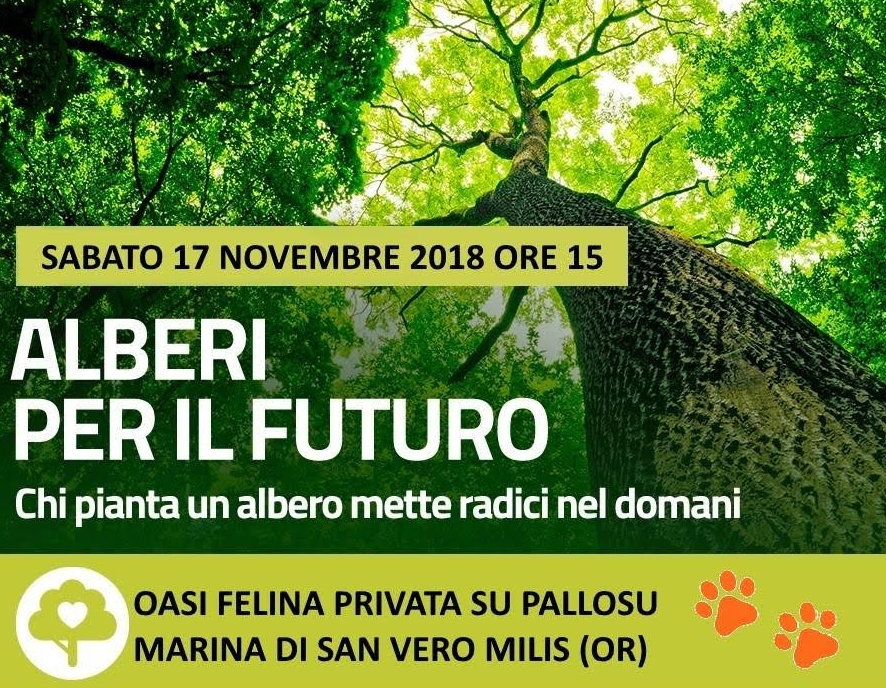 Risultati immagini per domani è la festa degli alberi? immagine?