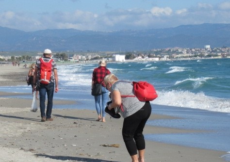 Cagliari, anche al Poetto i turisti continuano a depredare buste di conchiglie