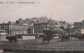 La Cagliari che non c’è più: 1917, una mandria di buoi sulla Darsena