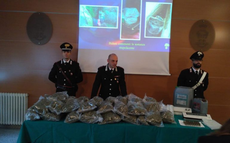 (VIDEO) Operazione antidroga a Orani: 23 chili di marijuana nell’ovile di un allevatore 62enne