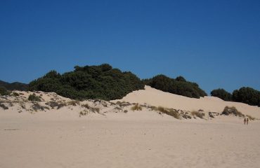 Le dune di Chia - Foto di Cristiano Cani (Wikipedia)