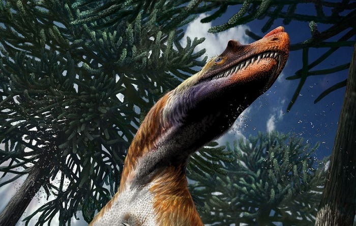 Scoperto in Italia il più antico dinosauro carnivoro di grandi dimensioni al mondo