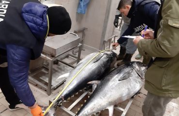 guardia costiera pesce sequestrato