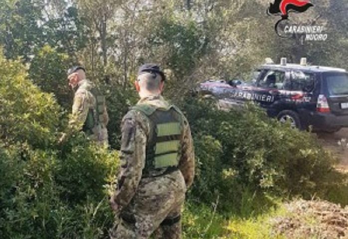 Ulassai, si perde in piena montagna. Dopo una notte all’addiaccio, salvato 35enne