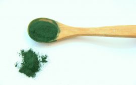 Alga spirulina