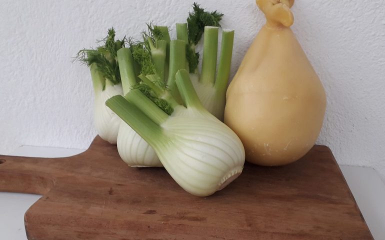 La ricetta di Vistanet di oggi: finocchi gratinati con casizzolu, un modo per non sprecare le parti più dure