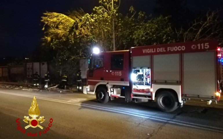 Via dei Valenzani: grosso ramo si spezza a causa del vento e finisce in strada