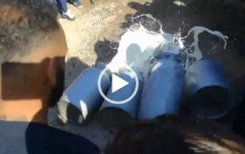 Calciatori del cagliari latte a terra pastori solidarietà